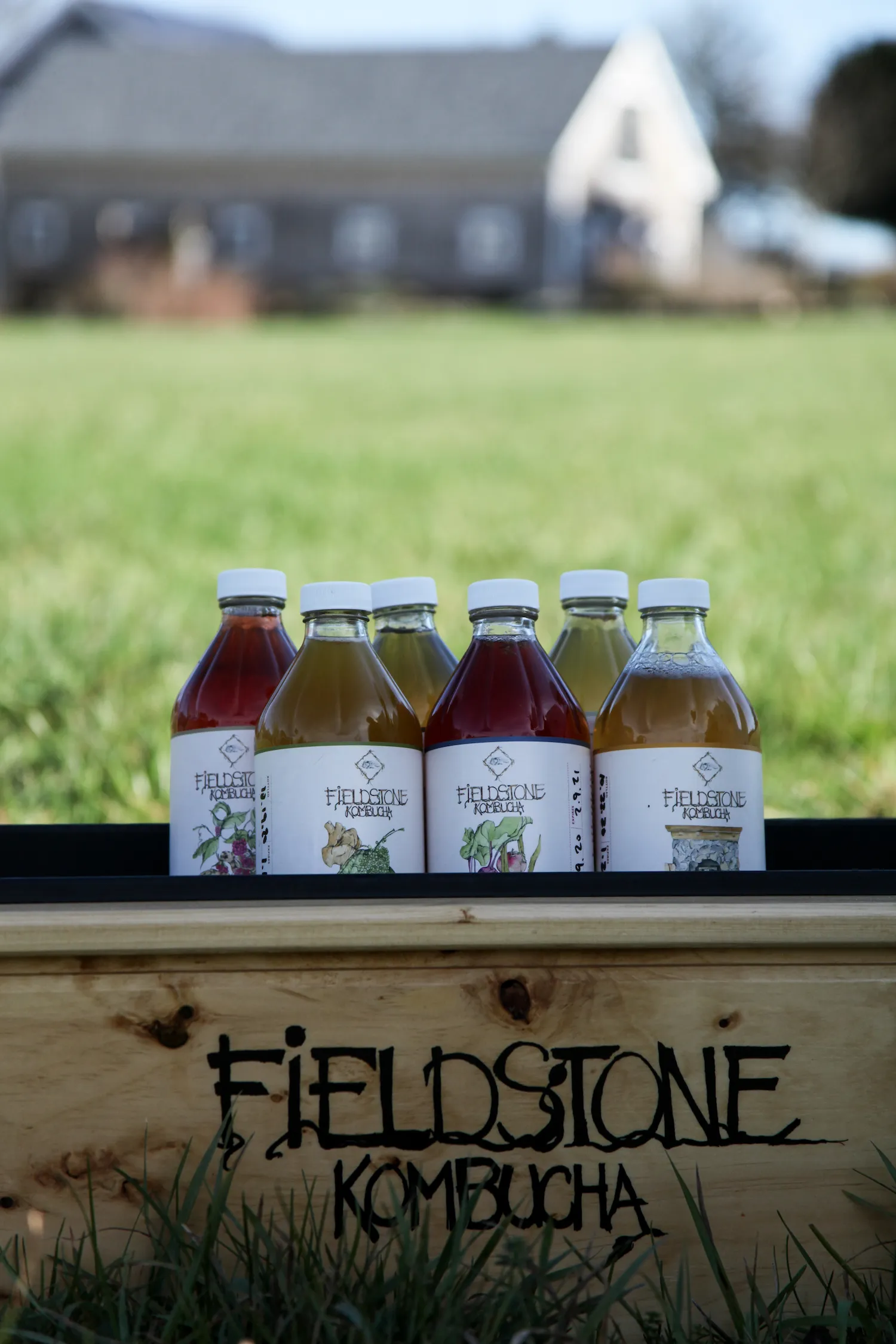 Fieldstone Kombucha